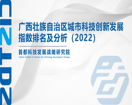 免费看插逼逼【成果发布】广西壮族自治区城市科技创新发展指数排名及分析（2022）